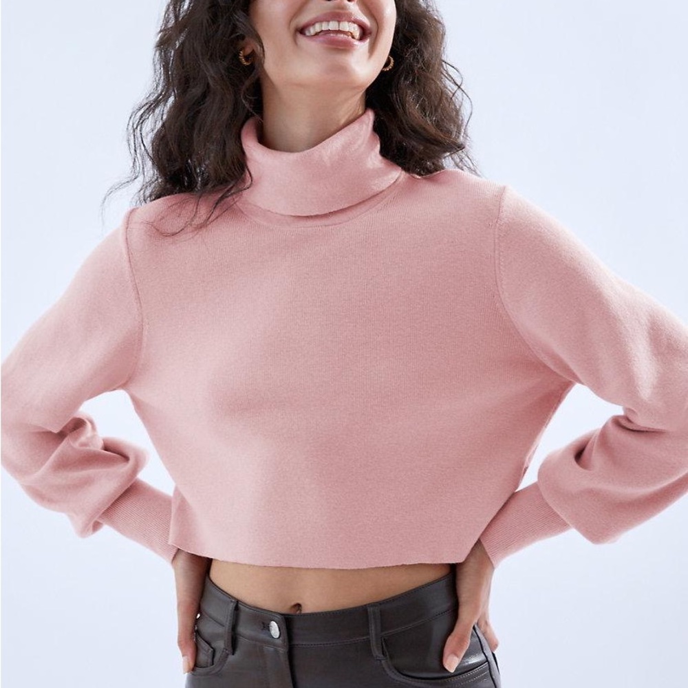 Wilfred Rebecca Turtleneck from Aritzia